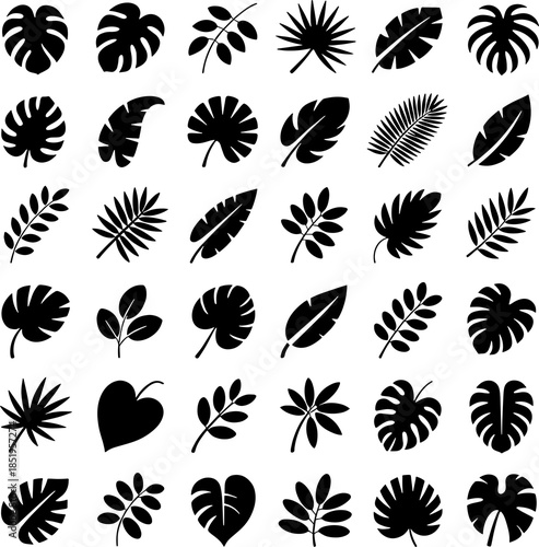 A set or collection of Black and White Tropical Leaf Vector Icon Collection for Branding and Design