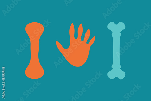 Vector illustration of a human bone set: hand, foot, and ribs. Anatomical, medical, or Halloween themed graphic with bold lines.