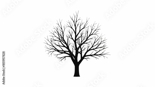 vector tree silhouette