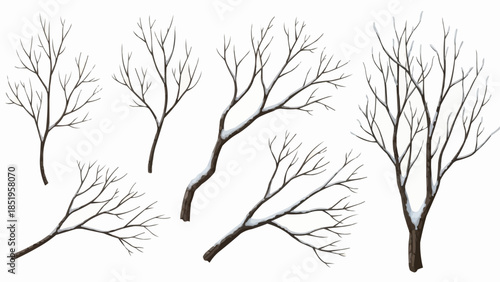 tree silhouette vector