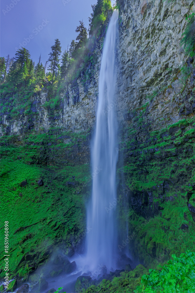 Obraz premium Salt Creek Falls, Oregon