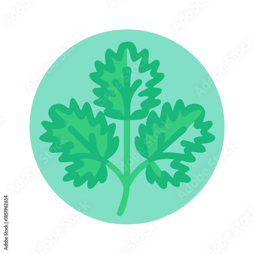Stylized green parsley illustration in flat circle on white