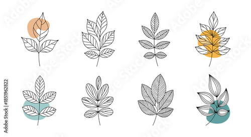 Elegant set of eight minimalist line art leaves or branches with various detailed styles and subtle abstract colored circles as background accents.