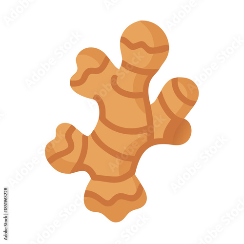 Isolated ginger root on white background in flat style
