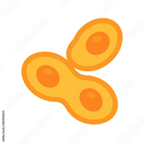 Flat design cell division with orange hues on white