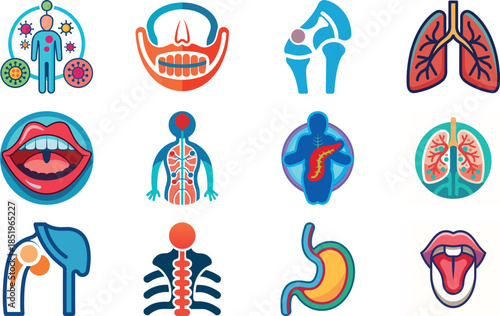 Human Anatomy and Muscular System Icon Set Including Muscles, Bones, Joints, Hands, Feet, Body Parts and Medical Anatomy Symbols – Flat Healthcare, Fitness and Medical Illustration Collection