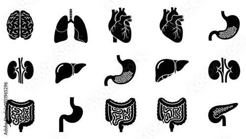 Silhouette icons of various human internal organs, including lungs, heart, kidneys, liver, stomach, and pancreas.