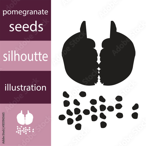 Silhouette of a Piece of Pomegranate with Seeds