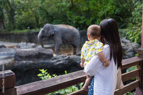 Wallpaper Mural Mother take baby see elephant at zoo Torontodigital.ca