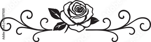 PrintElegant rose floral ornament, decorative flower divider vector illustration on brown background