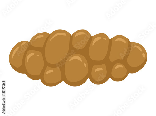 Human Poop Lumpy and Like Sausage or Mild Constipation Type