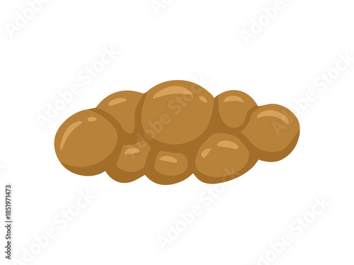 Human Feces Lumpy and Like Sausage or Mild Constipation Type