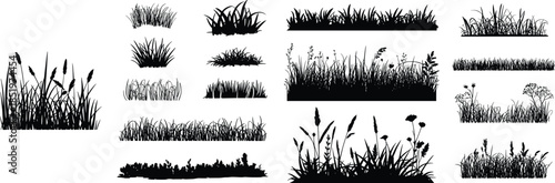 Grass and meadow silhouette set, wild field plants and weeds collection, natural landscape vegetation elements, minimal black design, cad drawing flat vector illustration