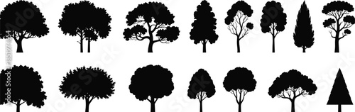Tree silhouette collection, forest and park trees shapes, natural woodland vegetation elements, minimal black nature design, cad drawing flat vector illustration