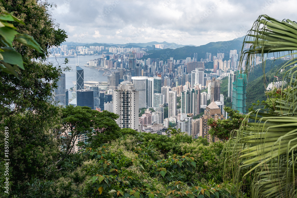 Obraz premium View of Hong Kong and Kowloon from Victoria peak. Panorama of Hong Kong, skyscrapers and nature.