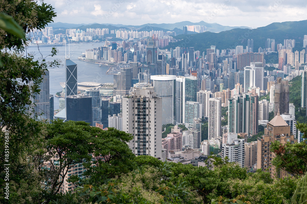 Fototapeta premium View of Hong Kong and Kowloon from Victoria peak. Panorama of Hong Kong, skyscrapers and nature.