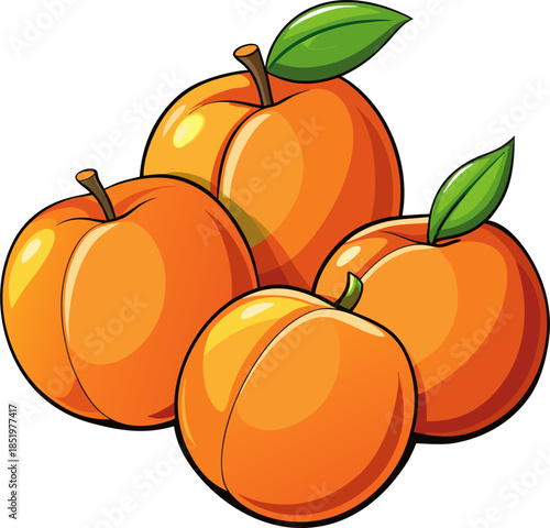 Peach Vector Illustration – Fresh Summer Stone Fruit Graphic Design