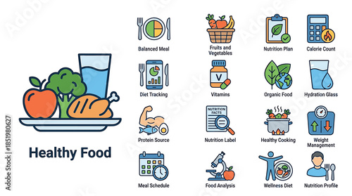 Flat lay illustration of a healthy food plate with various nutrition icons and symbols on a white background.