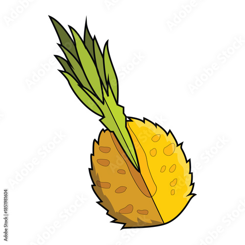 Cutaway Pineapple C Fruit