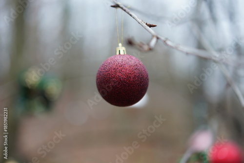 Nahaufnahme von Weihnachtskugeln an kahlen Ästen im Grunewald am Schlachtensee, Berlin,