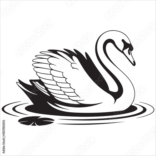 A vector illustration of a black swan bird silhouette floating on a lake with nature design elements and an artistic wildlife feather drawing