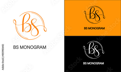 BS Monogram Logo - Elegant Script Initial Design