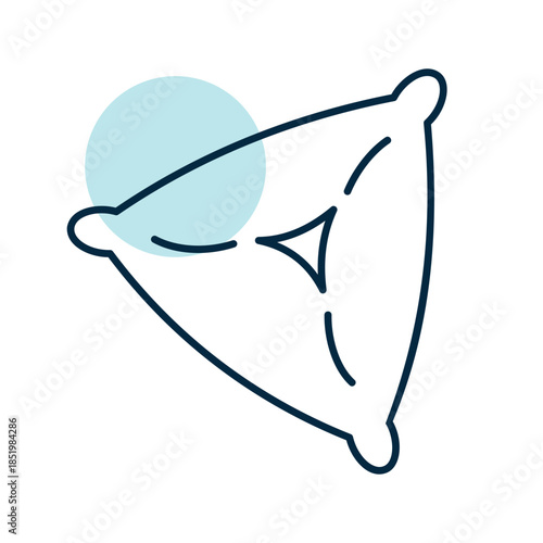 Traditional Samsa Pastry with Filling