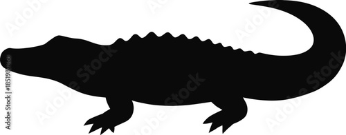 Cute cartoon green dinosaur vector illustration of a small prehistoric lizard reptile with a long tail isolated on a white background for wildlife and nature art