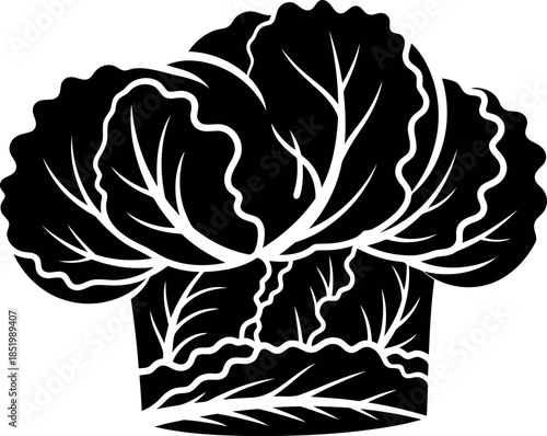 Black and white cabbage illustration vegetable design element