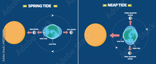 Diagram showing spring tides illustration