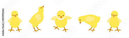 Yellow chick set isolated on a white background. Colored icon, vector illustration in a flat style. Easter templates.