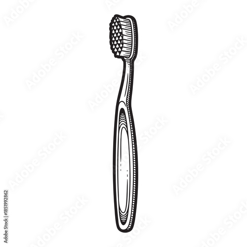 Classic Manual Toothbrush Illustration, Daily Oral Hygiene Tool in Detailed Engraving Style Vector Graphic.