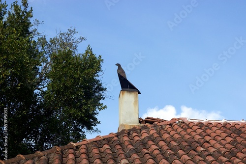 Decorative bird shaped metal chimney cowl on traditional terracotta tiled roof under clear blue sky