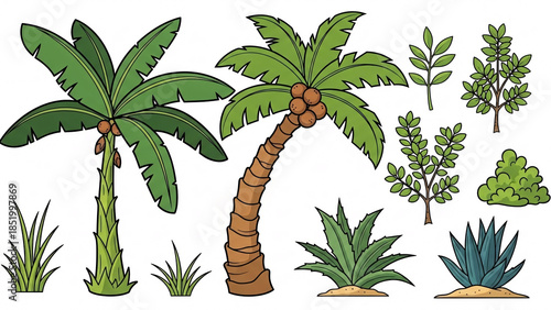 Collection of Tropical Coconut Palm Trees and Exotic Vegetation