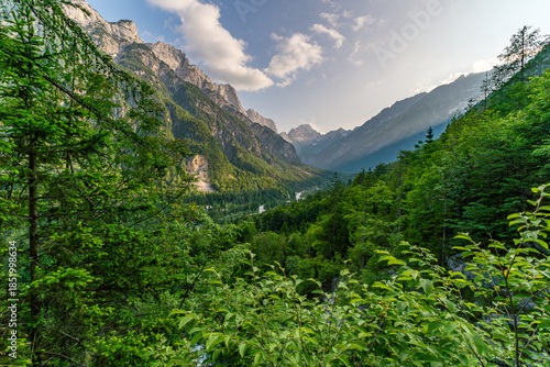 Majestic Soca Valley Dawn Reveals Lush Forests and Towering Peaks in Triglav National Park