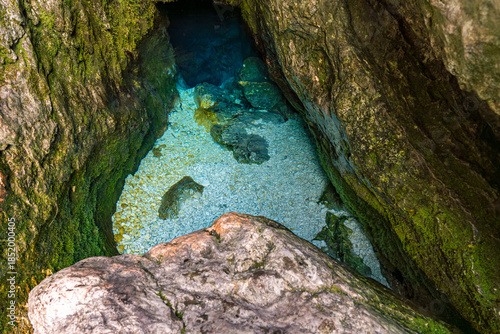 Foto Mystical Soca River Source Glowing Turquoise Waters Amidst Lush Green Caves in S