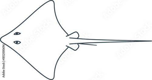 Empty vector file display