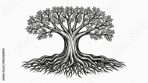 Tree of Life Roots and Branches Illustration
