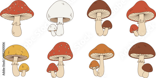Cartoon style mushroom characters set with textured caps colorful fungi vector isolated on white