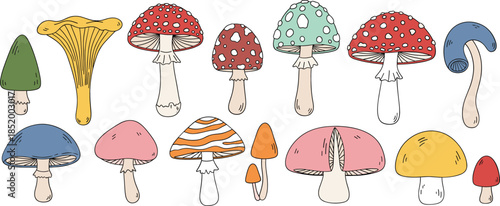 Colorful hand drawn mushroom collection with various forest fungi toadstools