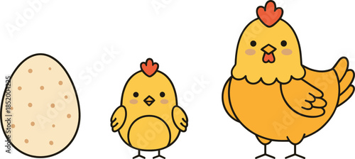 Cute chicken life cycle vector illustration with spotted egg small chick and adult hen