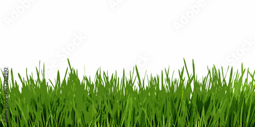 A simple illustration of lush green grass against a plain white background