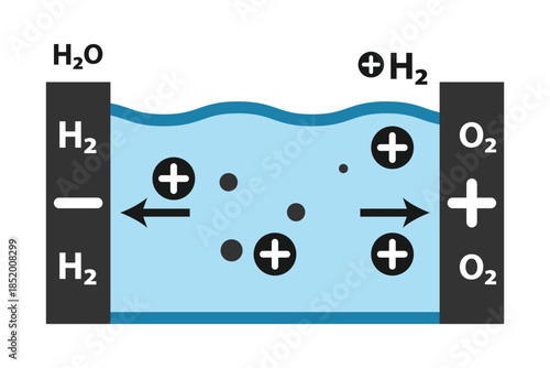 Proton Exchange Membrane Layer vector icon