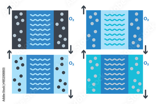 Water Electrolysis Cell