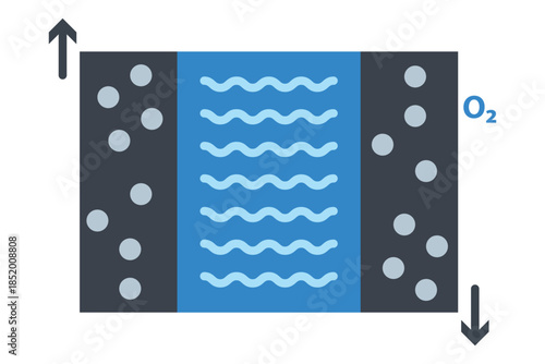 Water Electrolysis Cell