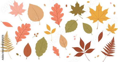 Decorative autumn foliage elements set with maple oak and fern leaves flat vector illustration