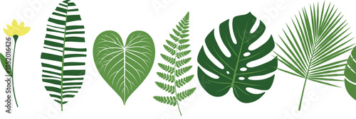 Flat Botanical Tropical Leaves Vector Set with Monstera Fern Palm and Decorative Greenery