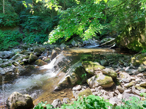 stream Lobnica on Pohorje mountain. Nature of Slovenia.