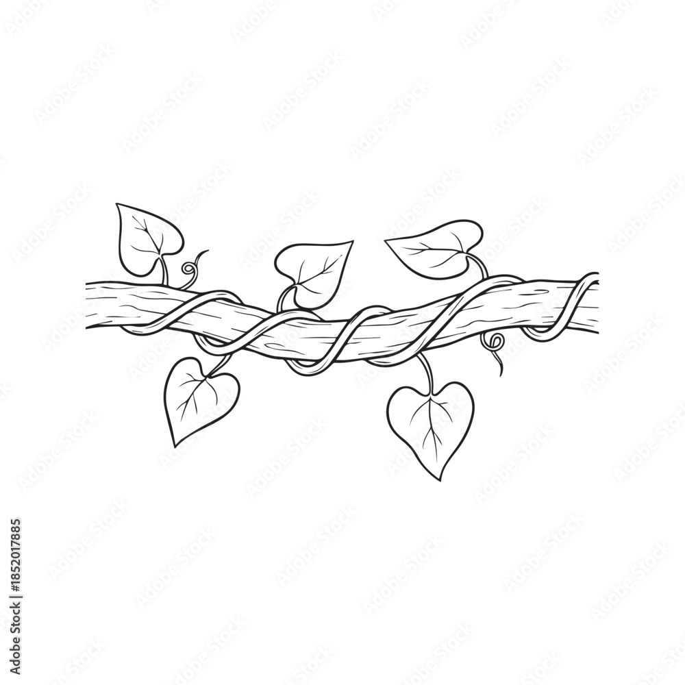 Obraz premium Hand Drawn Twisted Vine Wrapped Around Tree Branch With Leaves Black And White Line Art Sketch 