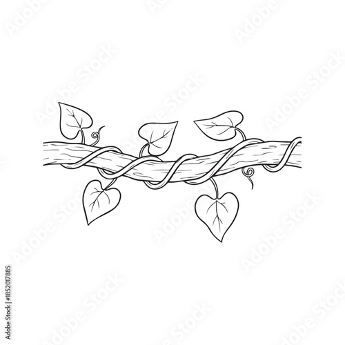 Hand Drawn Twisted Vine Wrapped Around Tree Branch With Leaves Black And White Line Art Sketch

